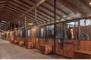 Ren och välordnad stallgång med hästar i boxar på båda sidor