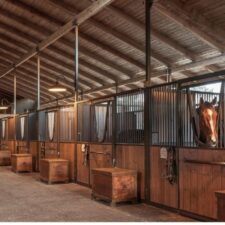 Ren och välordnad stallgång med hästar i boxar på båda sidor
